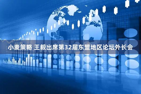 小麦策略 王毅出席第32届东盟地区论坛外长会