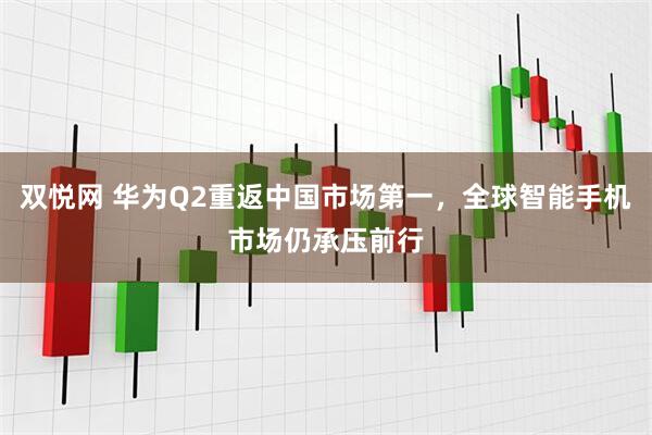 双悦网 华为Q2重返中国市场第一，全球智能手机市场仍承压前行