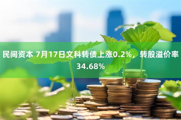 民间资本 7月17日文科转债上涨0.2%，转股溢价率34.68%