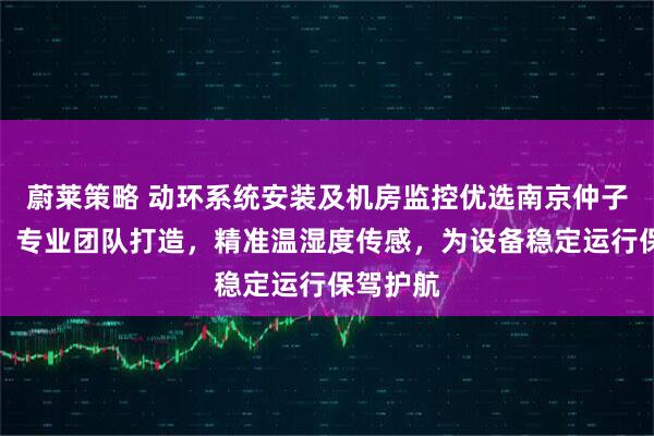 蔚莱策略 动环系统安装及机房监控优选南京仲子路科技,专业团队打造,精准温湿度传感,为设备稳定运行保驾护航